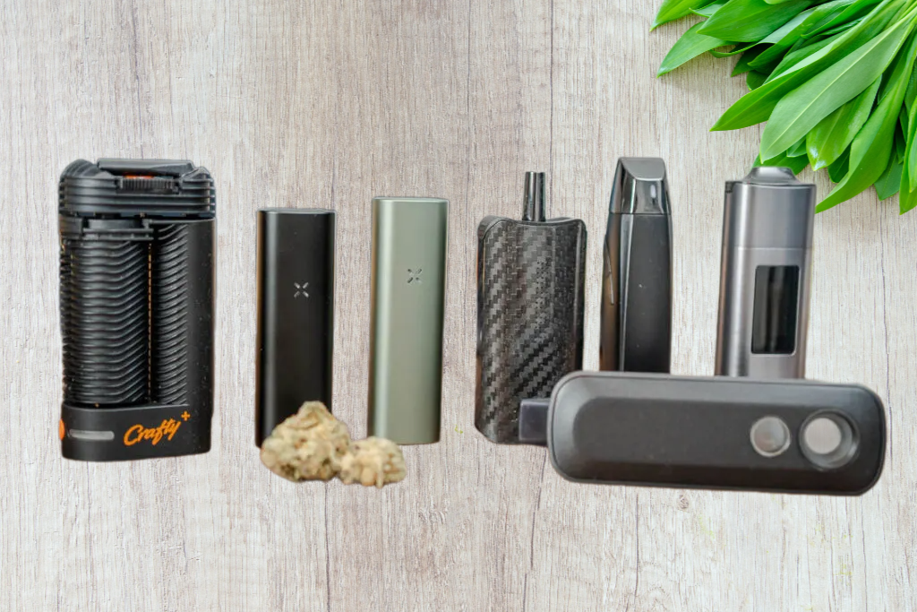 Dry Herb Vaporizers Paper Plug Express Dry Herb Vaporizers Paper Plug Express