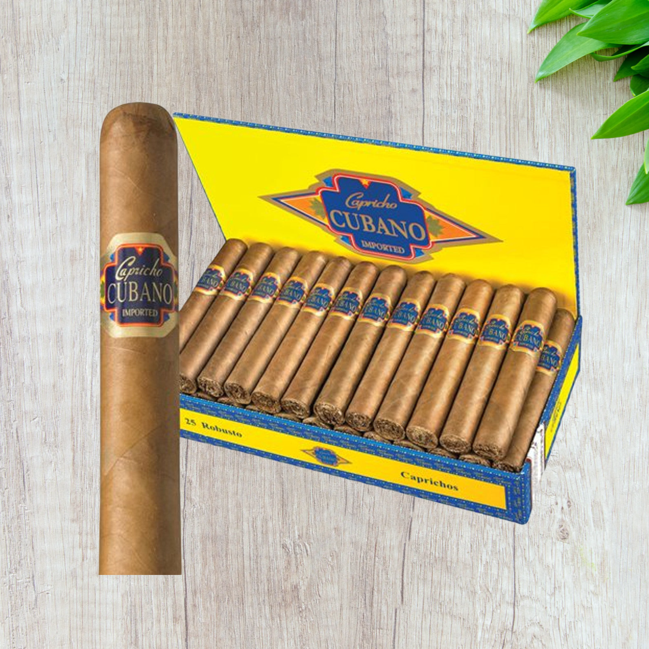 Capricho Cubano Robusto Connecticut Cigars