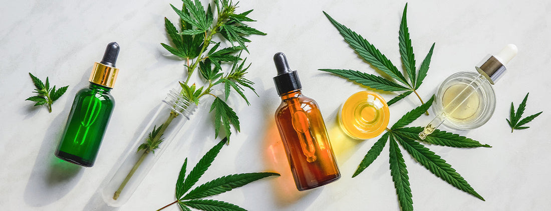 How to Use CBD Oil: A Simple Beginner’s Guide 🌿
