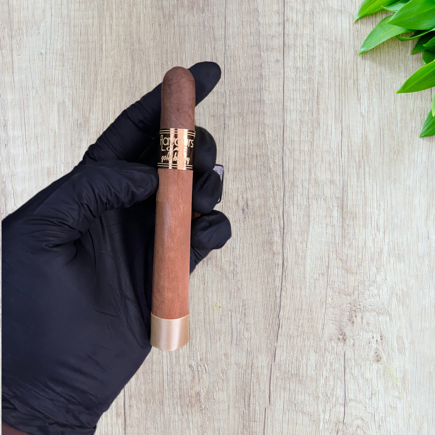 CAO Flavour Gold Honey Corona Cigars