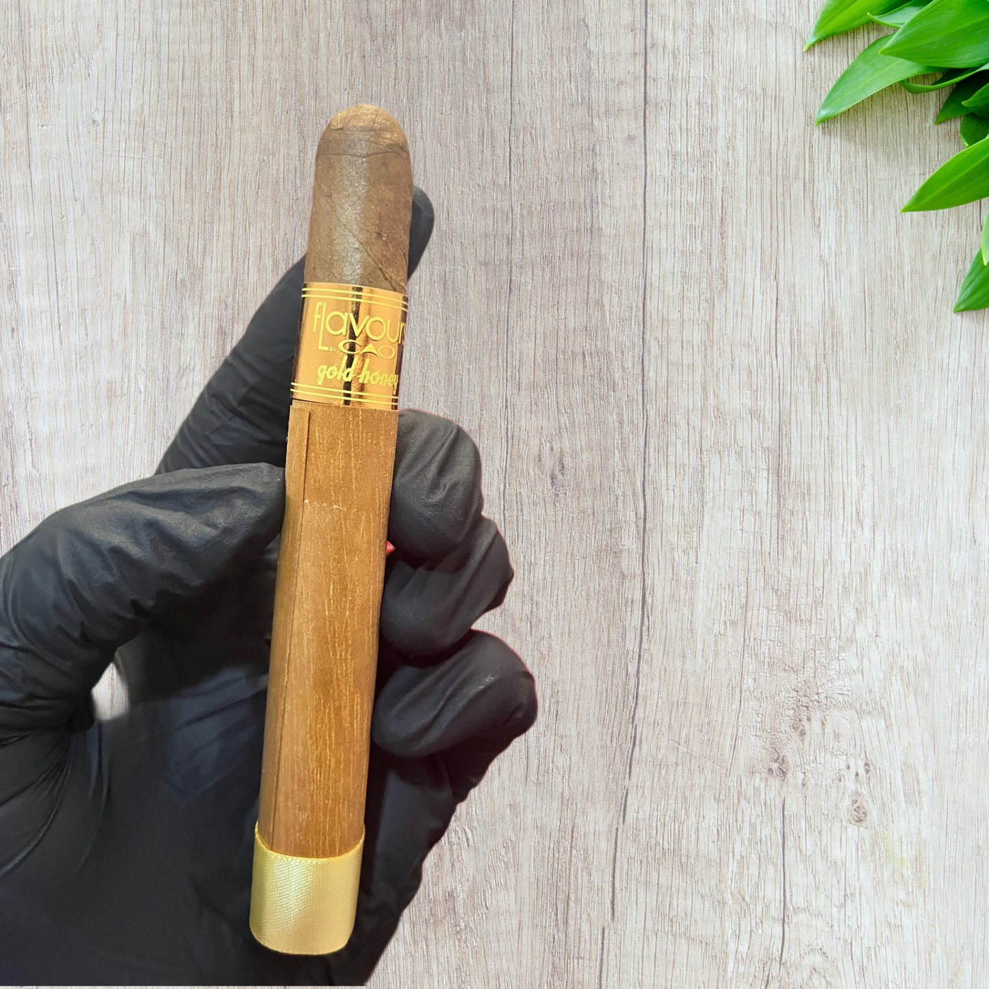 CAO Flavour Gold Honey Corona Cigars