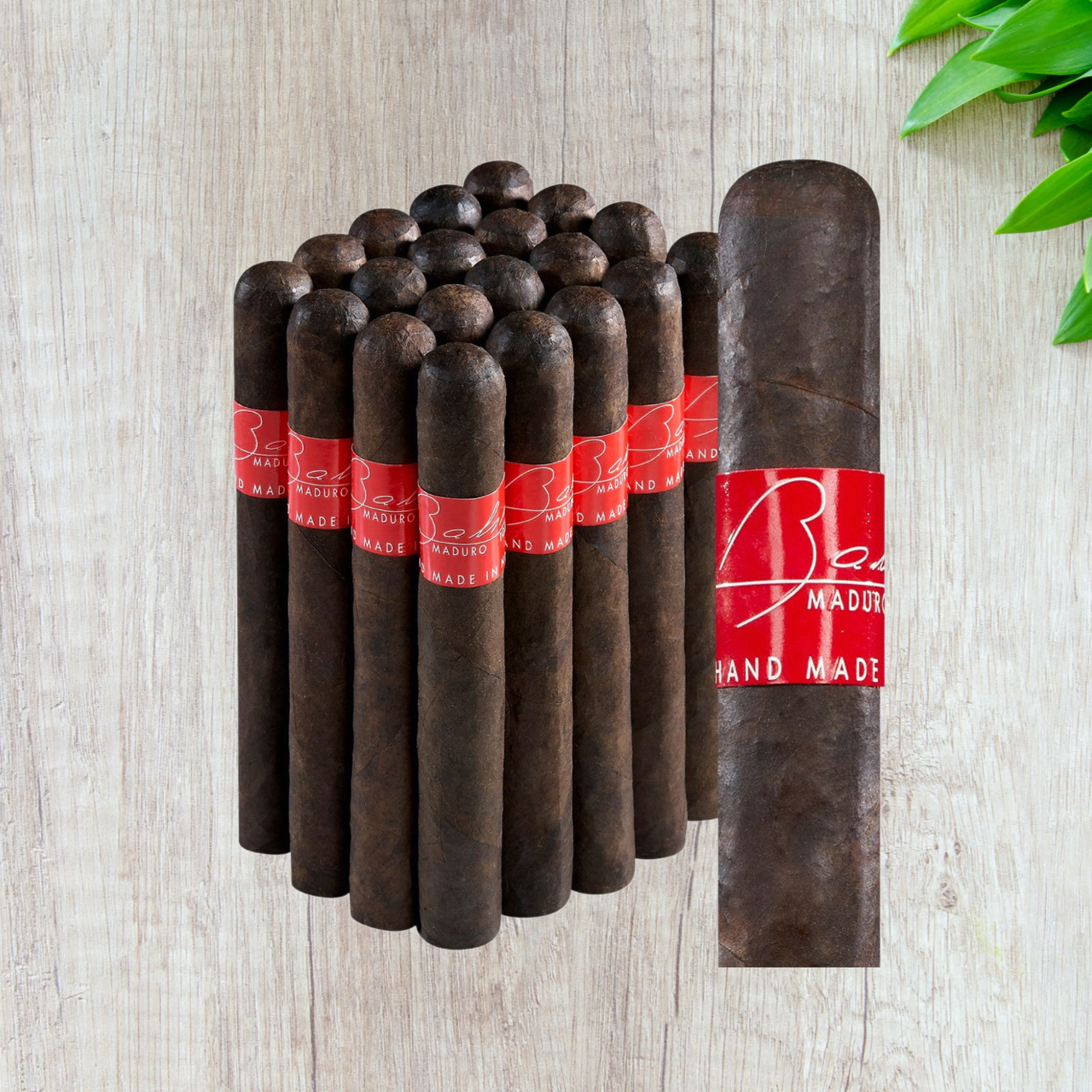 Bahia Maduro Corona Gigante Cigars